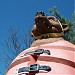 Grizzly River Run in Anaheim, California city