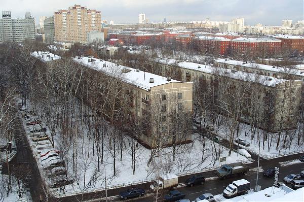 черемушки фото черемушки фото