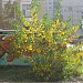 Детский сад № 89 в городе Киев