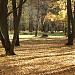 Ąžuolynas yra Kaunas mieste