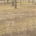 В 60-70-е здесь находились автоматы с газированной водой в городе Москва