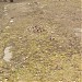В 60-70-е здесь находились автоматы с газированной водой в городе Москва