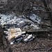 Заболоченный берег реки Яузы в городе Москва
