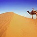 Krishna Tour and Travels (Chinmay Dixit) - Best Tour Operator in Udaipur Rajasthan India in Udaipur city