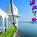 Krishna Tour and Travels (Chinmay Dixit) - Best Tour Operator in Udaipur Rajasthan India in Udaipur city