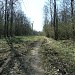 Просека под ЛЭП в городе Москва