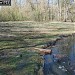Пересохший родник в городе Москва