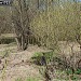 Сток с Кольского пруда в городе Москва