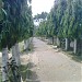 Bagula Srikrishna College and Ground (কলেজ মাঠ) in Bagula city
