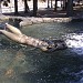 'Maid of Imatra' fountain in Imatra city