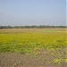 Aandhare Bil in Bagula city