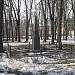 Памятник погибшему экипажу стратостата «Осоавиахим-1» в городе Москва