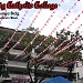Pasig Catholic College in Pasig city