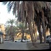 دالية الحسين في ميدنة جزيرة تاروت 
