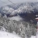 Auli