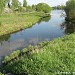 Приустьевый участок ручья, впадающего в реку Клязьму в городе Долгопрудный
