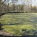 Локасинский пруд в городе Москва