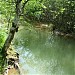 Силинский лес в городе Комсомольск-на-Амуре