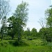 Силинский лес в городе Комсомольск-на-Амуре