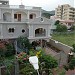 Manne  in Vijayawada city