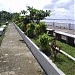 Paranas