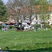 Erzsébet park in Gödöllő city