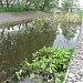 Участок р. Ички от транспортной развязки до путей Ярославского направления МЖД в городе Москва