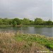 Борисовские пруды в городе Мытищи