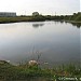 Пруд на р. Борисовке в городе Мытищи