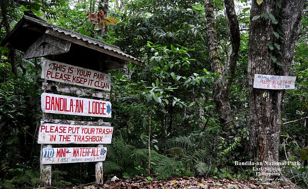 Resulta ng larawan para sa 3. Mt. Bandilaan National Park