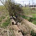 Остатки оросительного канала Люблинских полей орошения в городе Москва