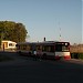 Pętla autobusowa 