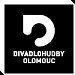 Muzeum umění, Divadlo Hudby in Olomouc city