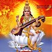actually this is Joyoti house in Janakpurdham city
