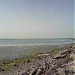حي الواحة في ميدنة جزيرة تاروت 