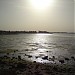 حي الواحة في ميدنة جزيرة تاروت 