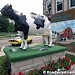 Harmilda in Harvard, Illinois city