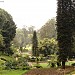 Sim's Park Pond, Coonoor. in Coonoor city