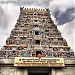 sree tharparanyeswarar temple, thirunallar