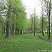 Сквер им. С. П. Королёва в городе Москва