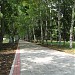 Брюховецкий парк в городе Брюховецкая