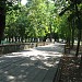 Брюховецкий парк в городе Брюховецкая