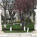 Parcul Municipal în Călăraşi oraş