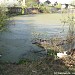 Заболоченные пруды в городе Долгопрудный