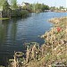 Заболоченные пруды в городе Долгопрудный