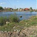 Заболоченные пруды в городе Долгопрудный