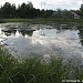 Малый пруд в городе Мытищи