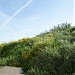 Tombe puniche in Cagliari city