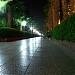 Аллея (ru) في ميدنة الغردقة    