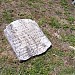 Gross cemetery in Lexington, South Carolina city